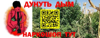 гашик Свободный