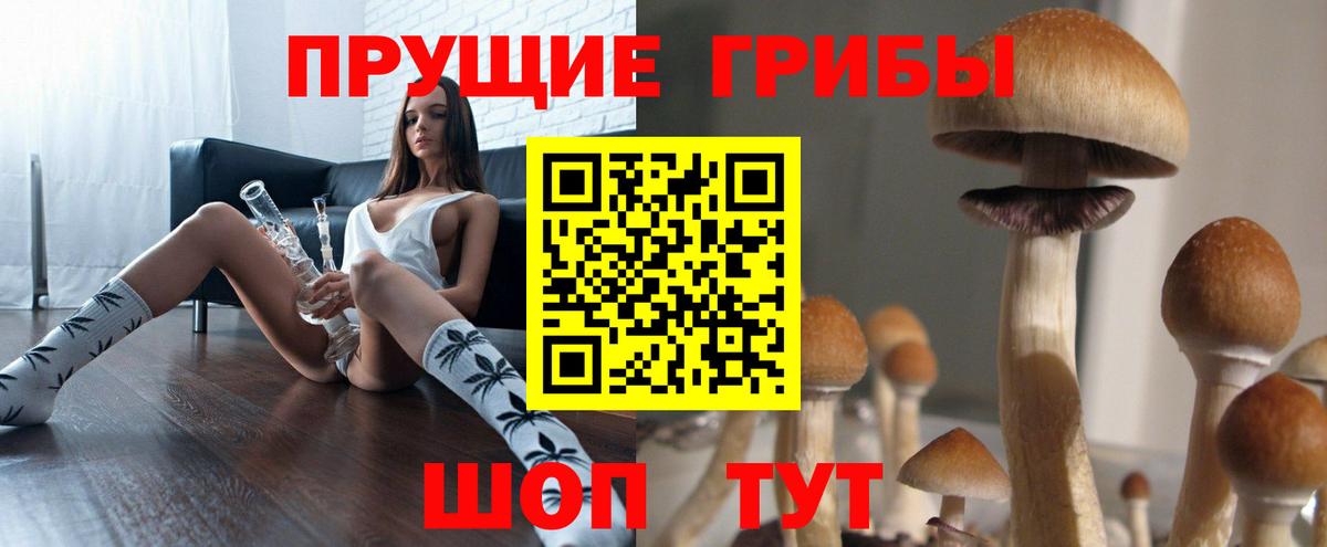 Псилоцибиновые грибы Cubensis Нарткала