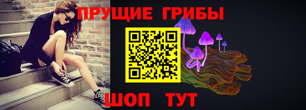 сколько стоит  Псилоцибиновые грибы GOLDEN TEACHER  Вход с VPN  Нарткала 