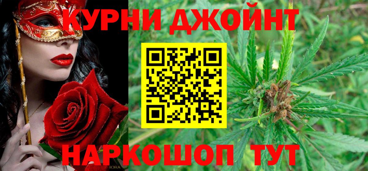 Шишки марихуана планчик  Вход с VPN  Нарткала  Канабис планчик  Шишки марихуана сатива 